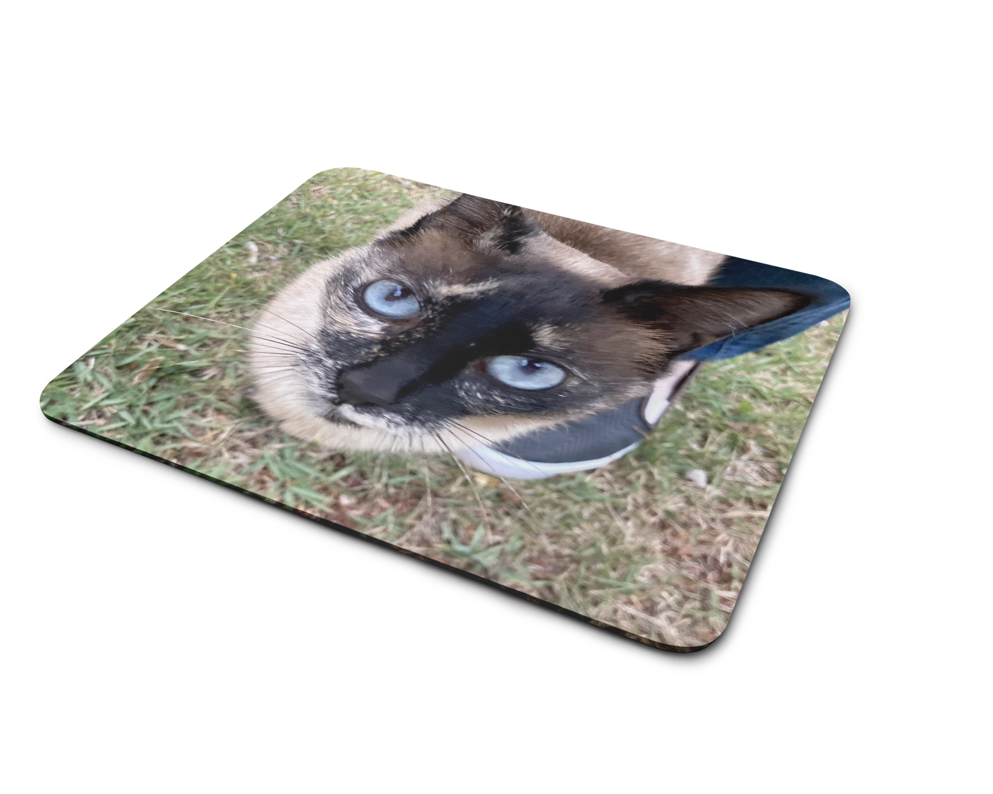 Mouse Pad Pet RG para Pets®